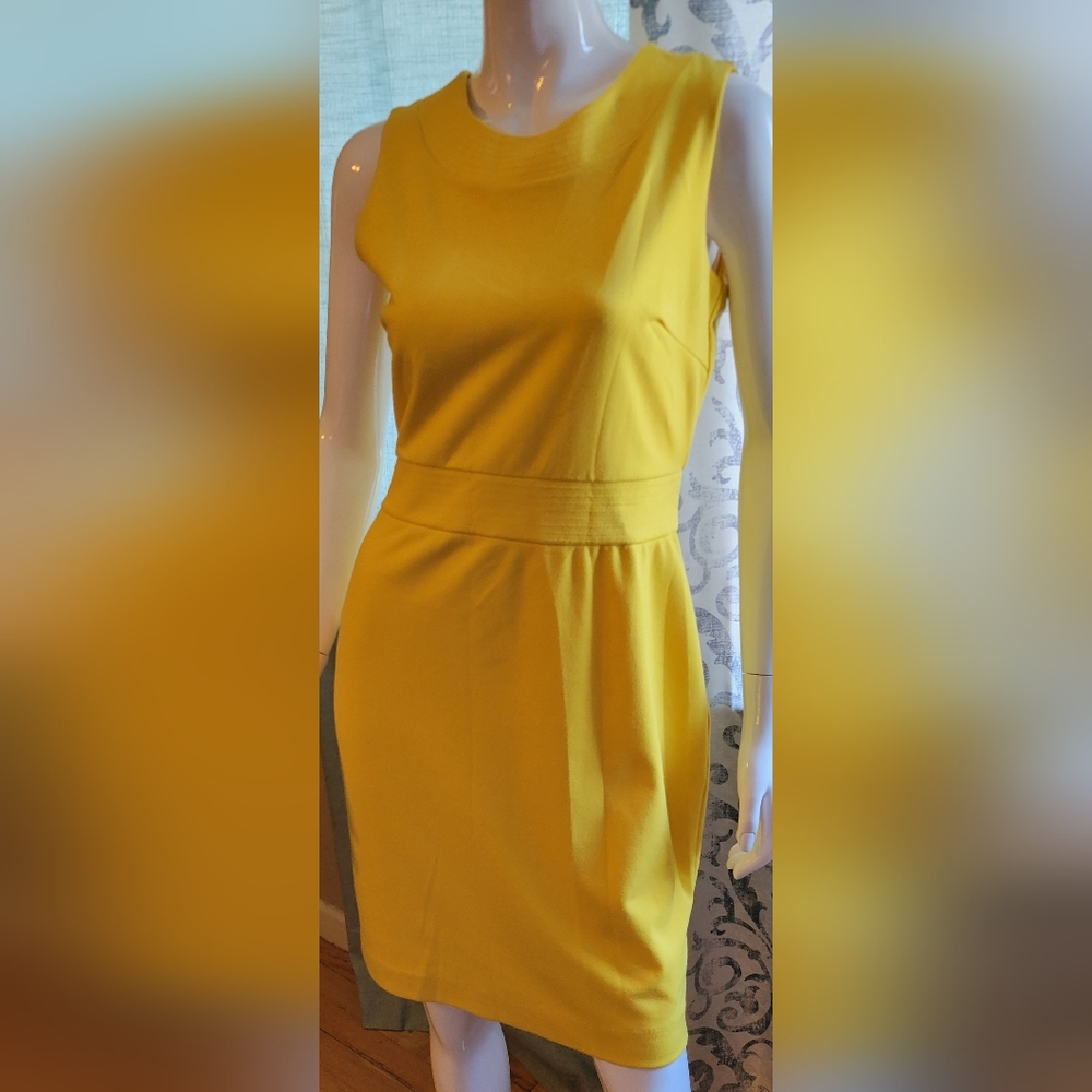 Reynah Dress size 6